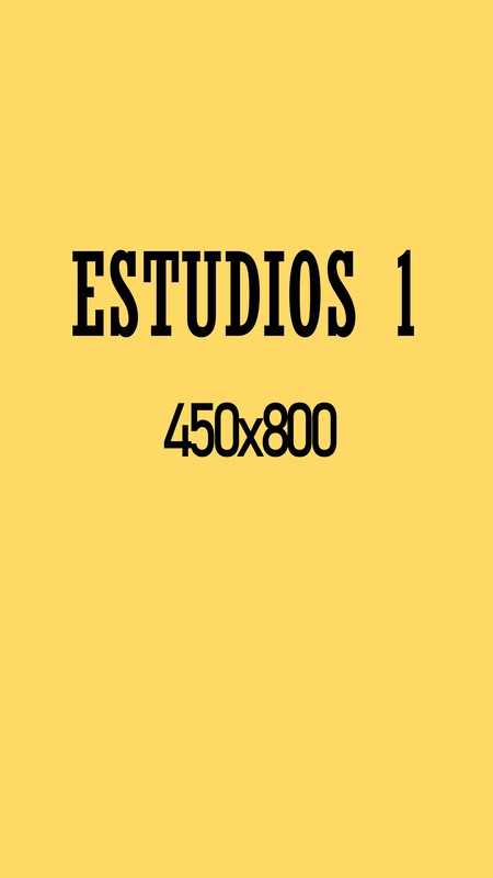 ESTUDIOS 1